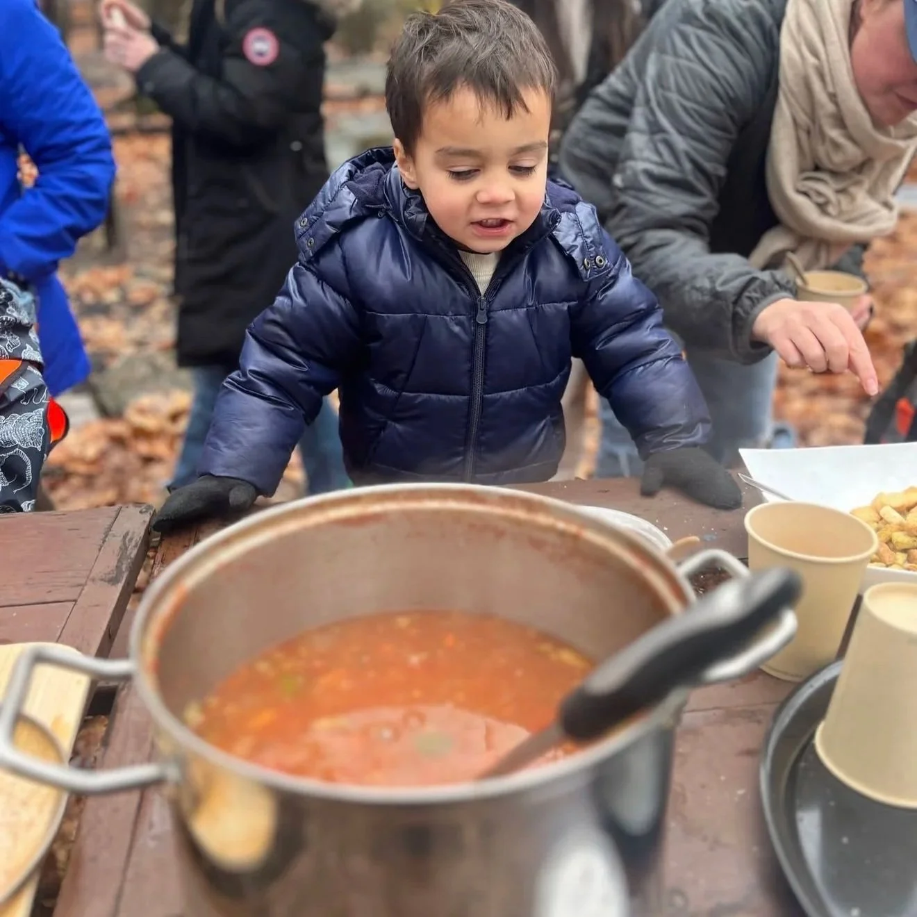 Stone Soup: How our Forest Preschool Celebrates Community