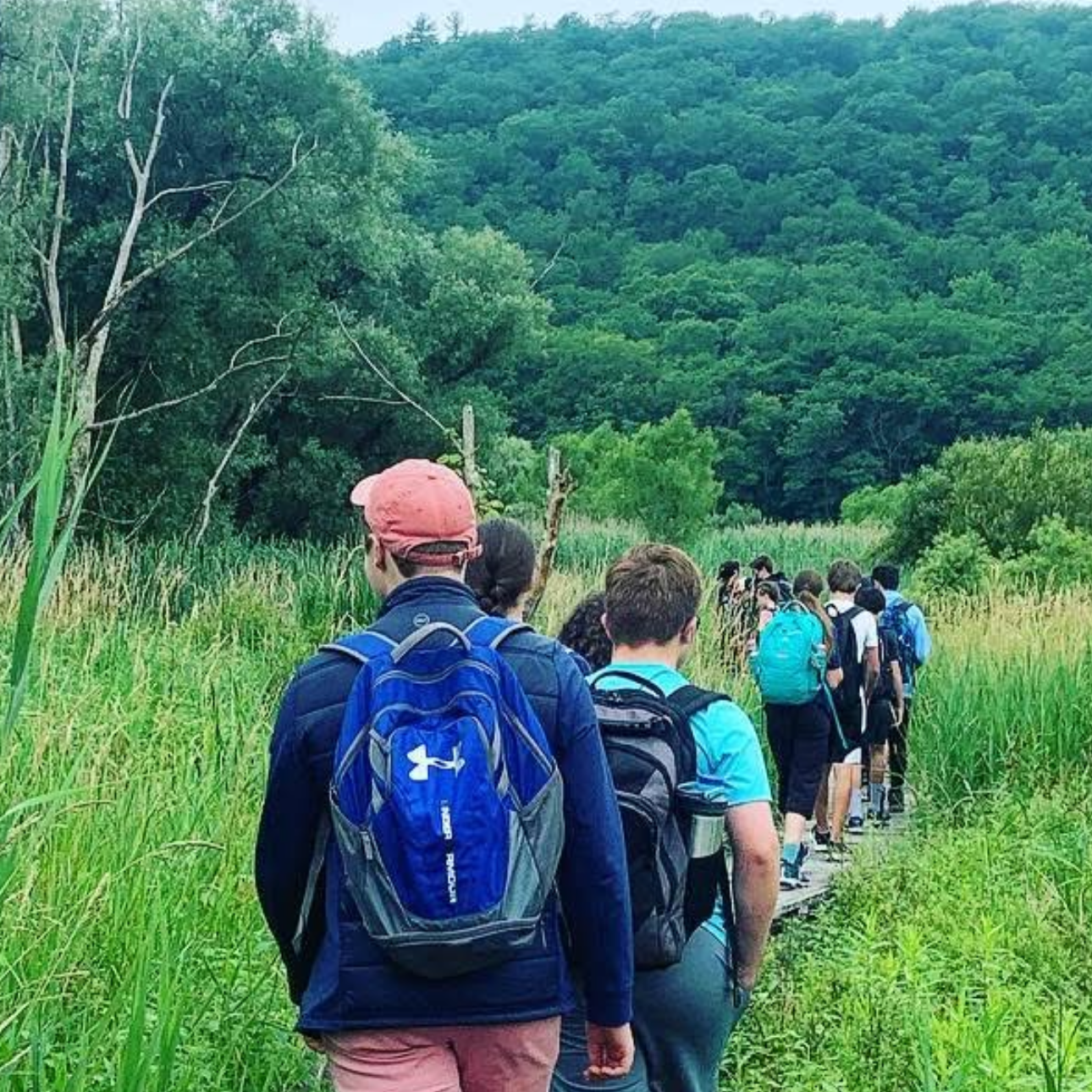 What Type of Visitor Are You?&nbsp;