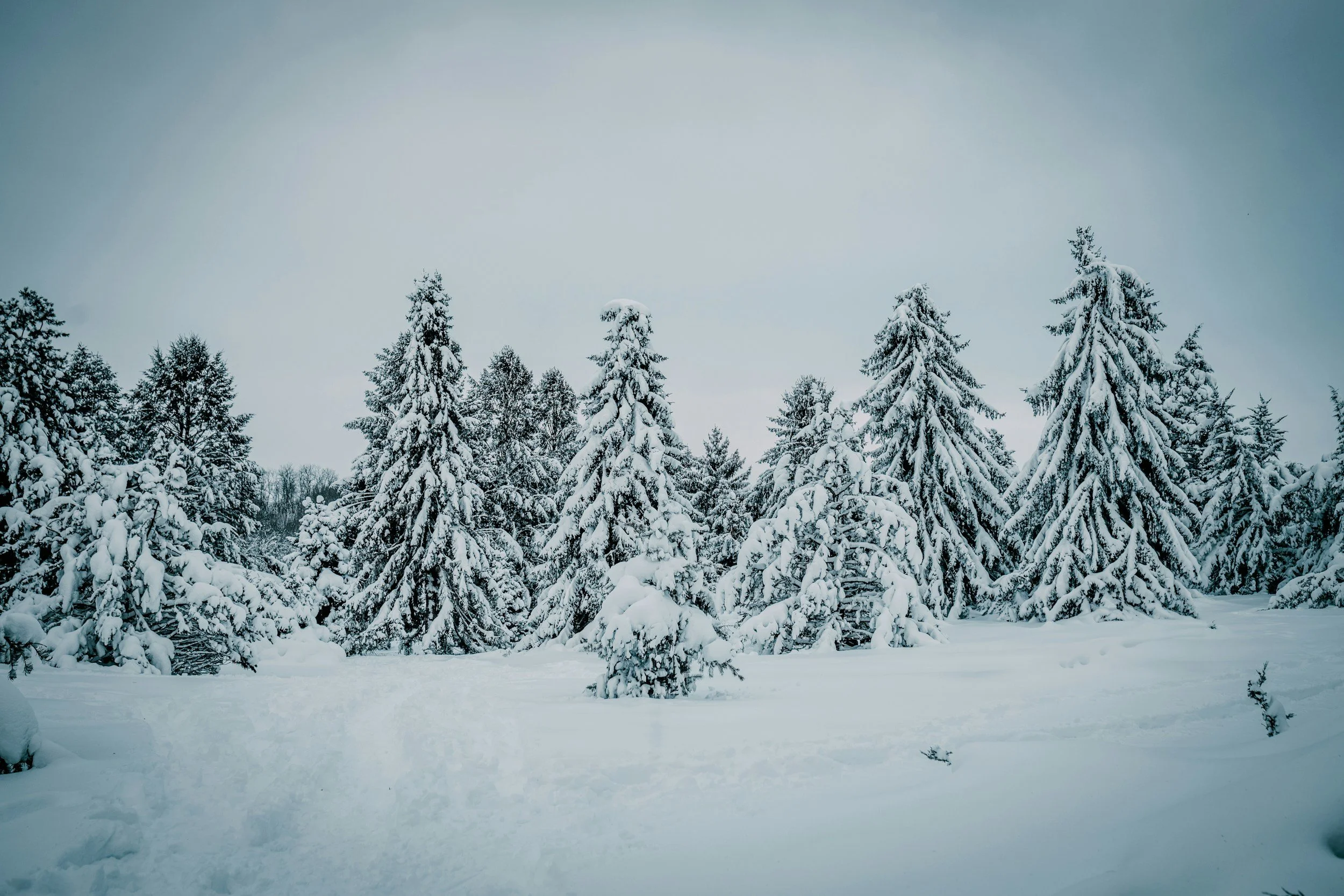 School’s Out Workshop (Winter Break)