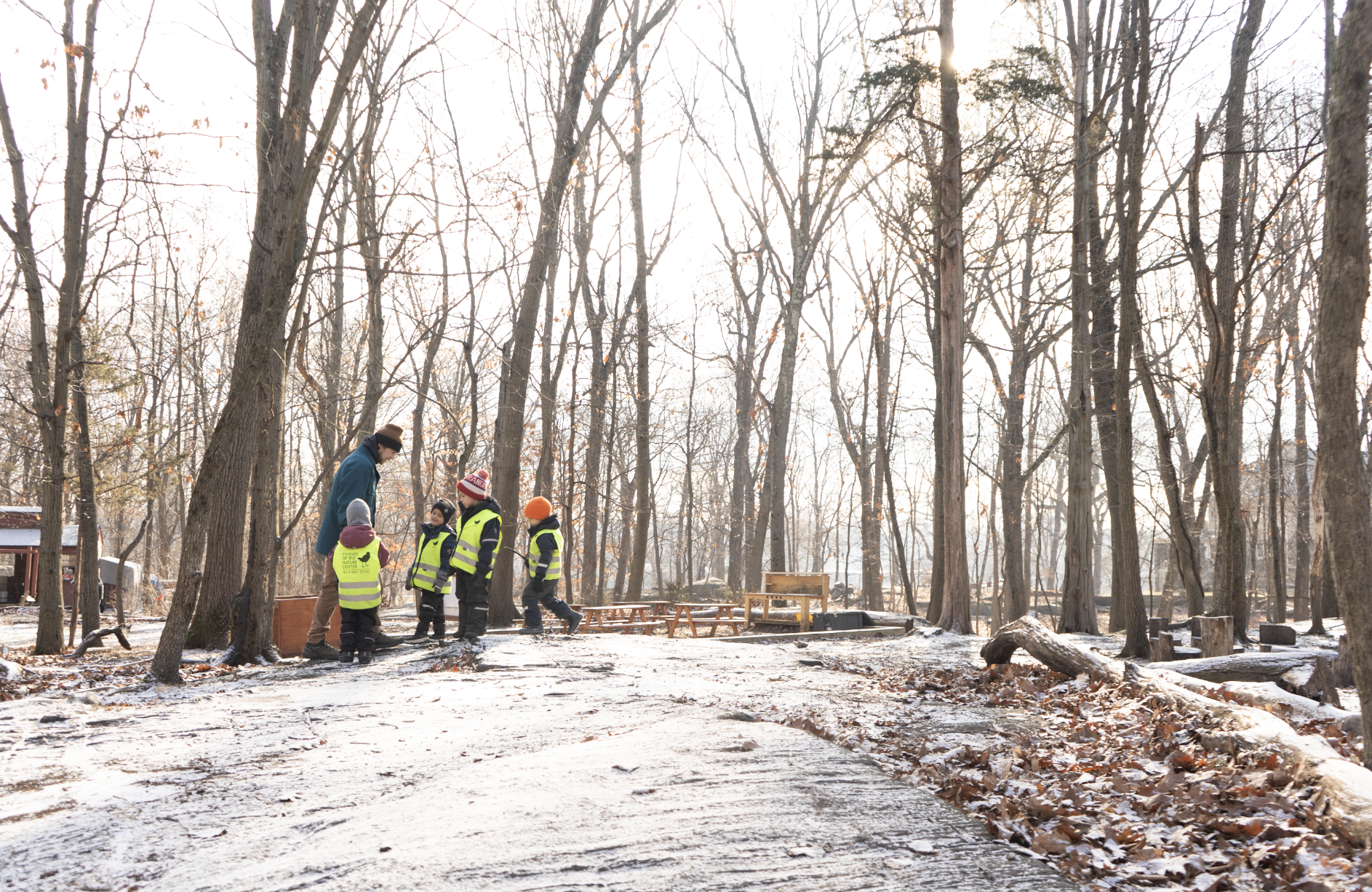 Winter Walk