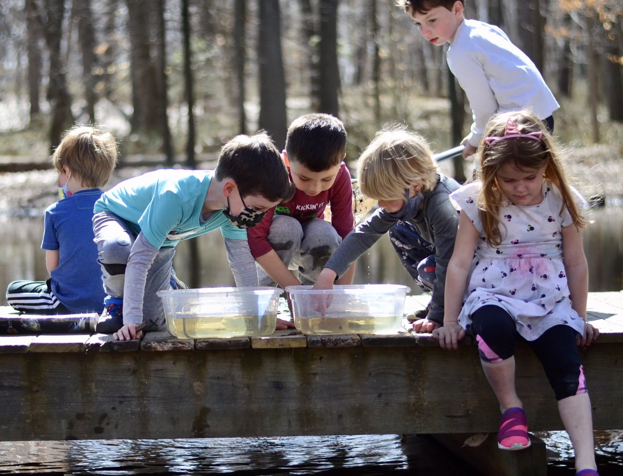Pond Examinations