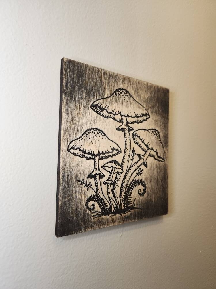 https://i.etsystatic.com/6077890/r/il/7a0b54/4236079660/il_fullxfull.4236079660_bc5w.jpg