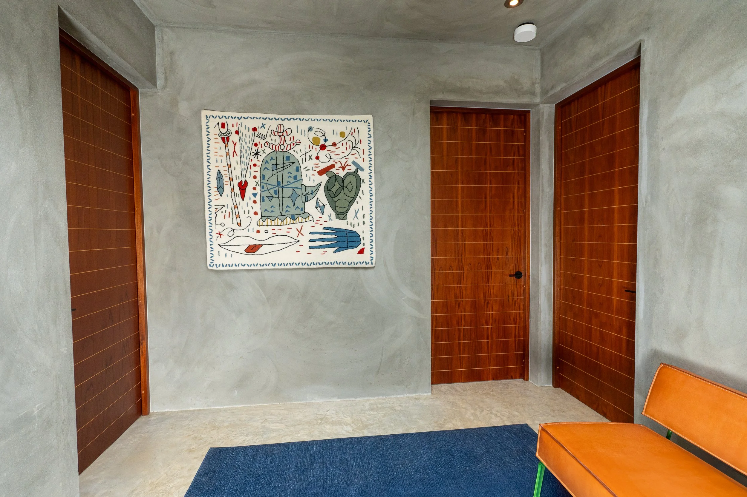 custom doors, artowrk, and plaster concrete walls hallway designed by vampio design inc.jpg