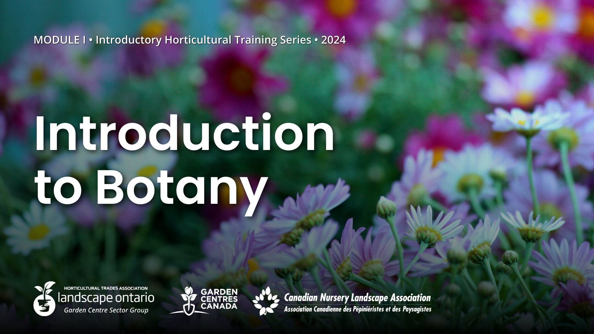 Module 1 Video Cover.png