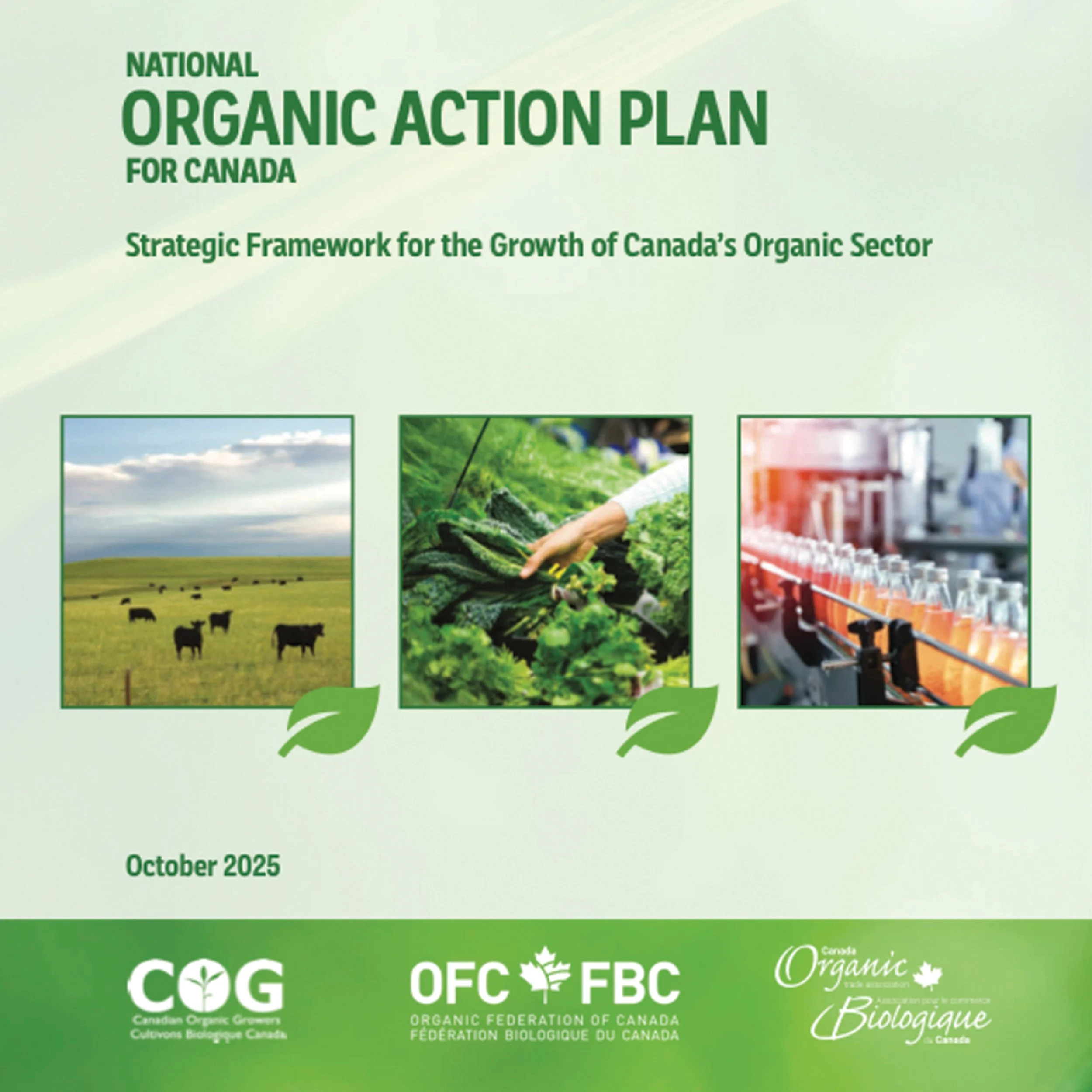 Canada’s Organic Action Plan signals growth opportunity for retailers