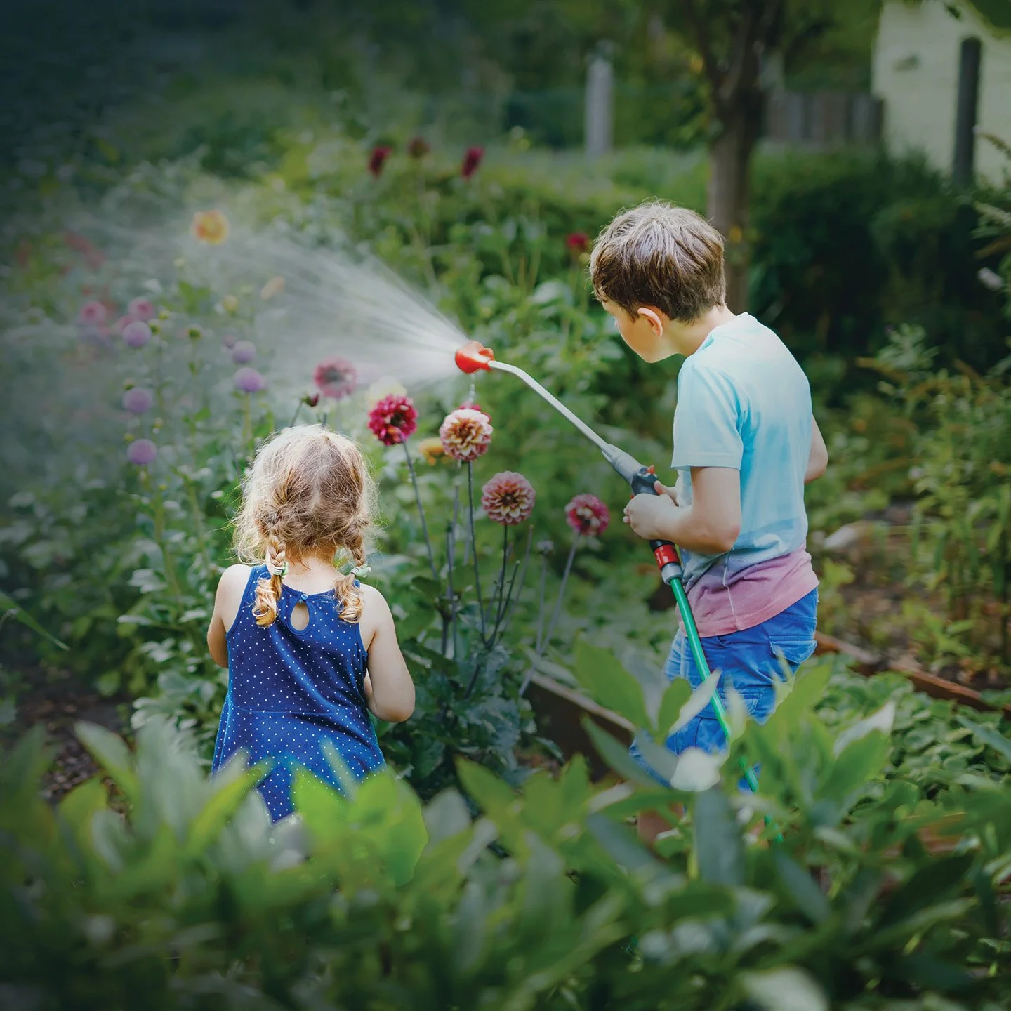 From clinic to garden bed: Green prescriptions are the new medicine