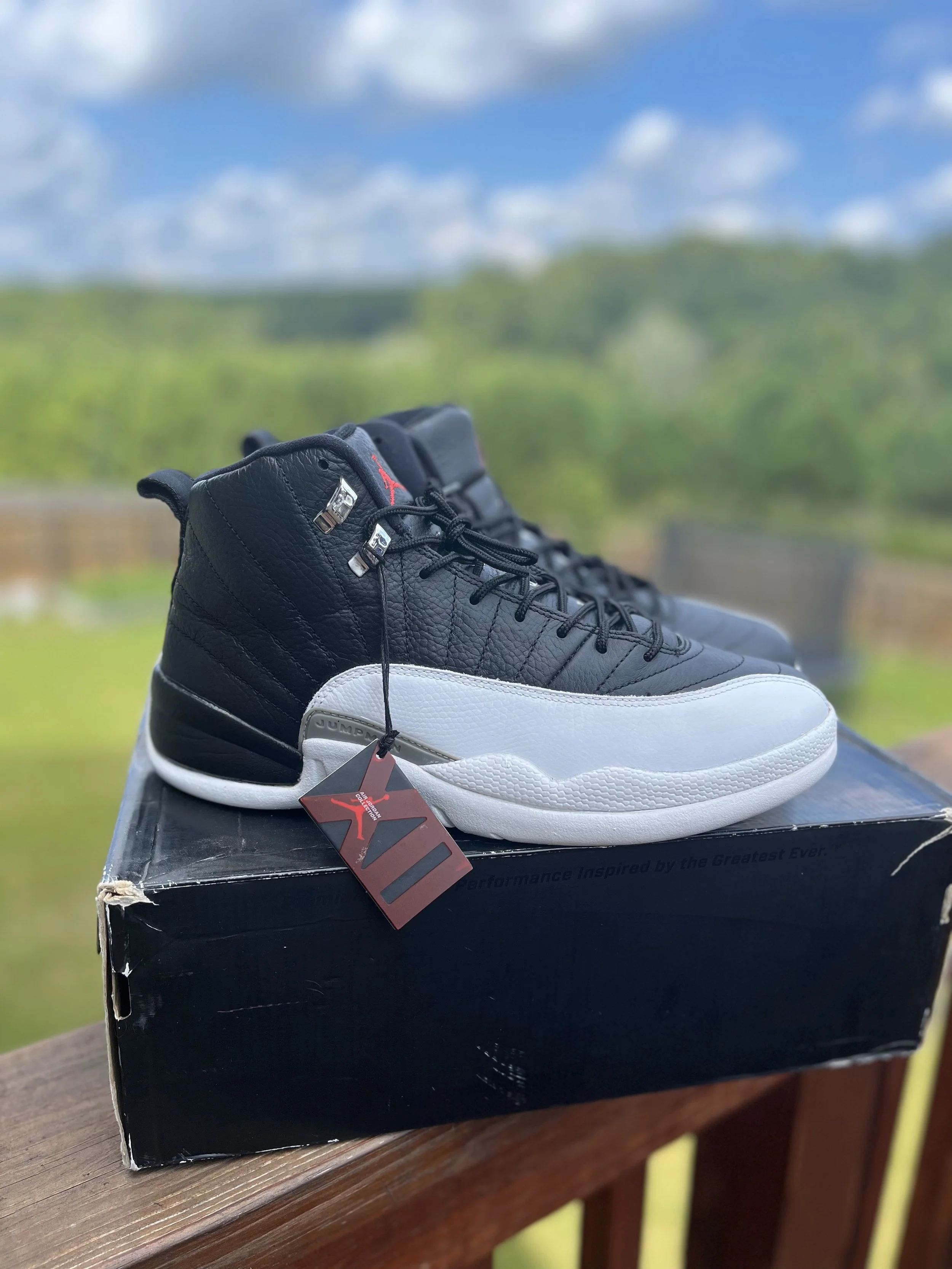 Air Jordan 12 - Playoff