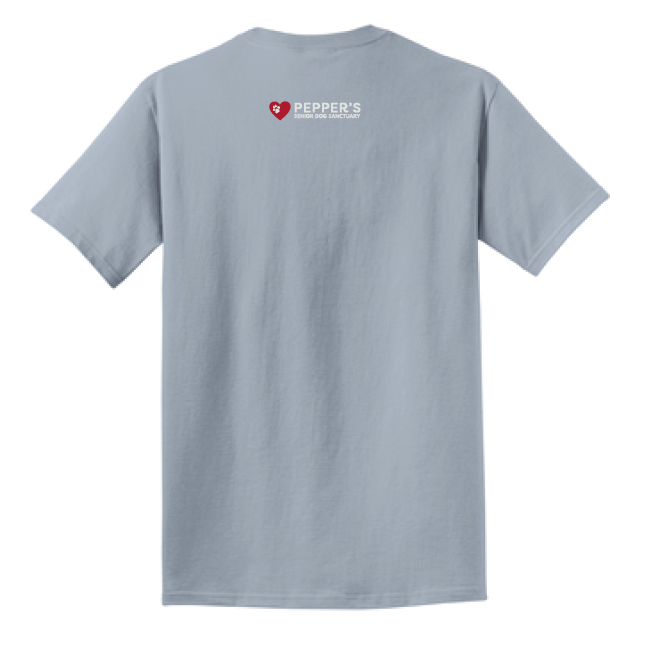 PSDS+TShirt+GO+Grey+Back.png