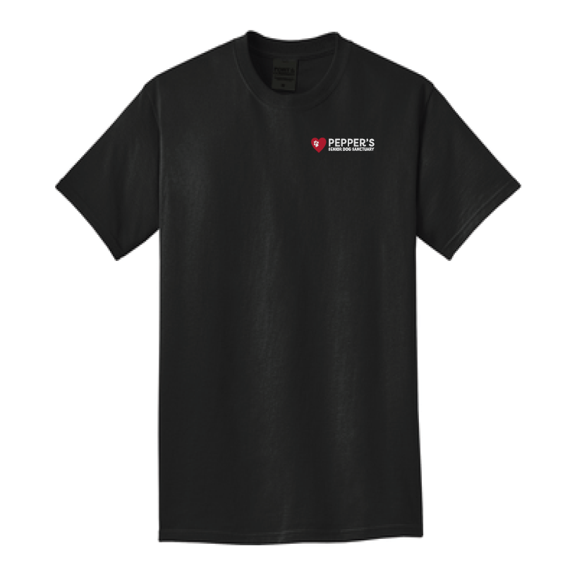 PSDS+TShirt+GDBDLD+Front.png