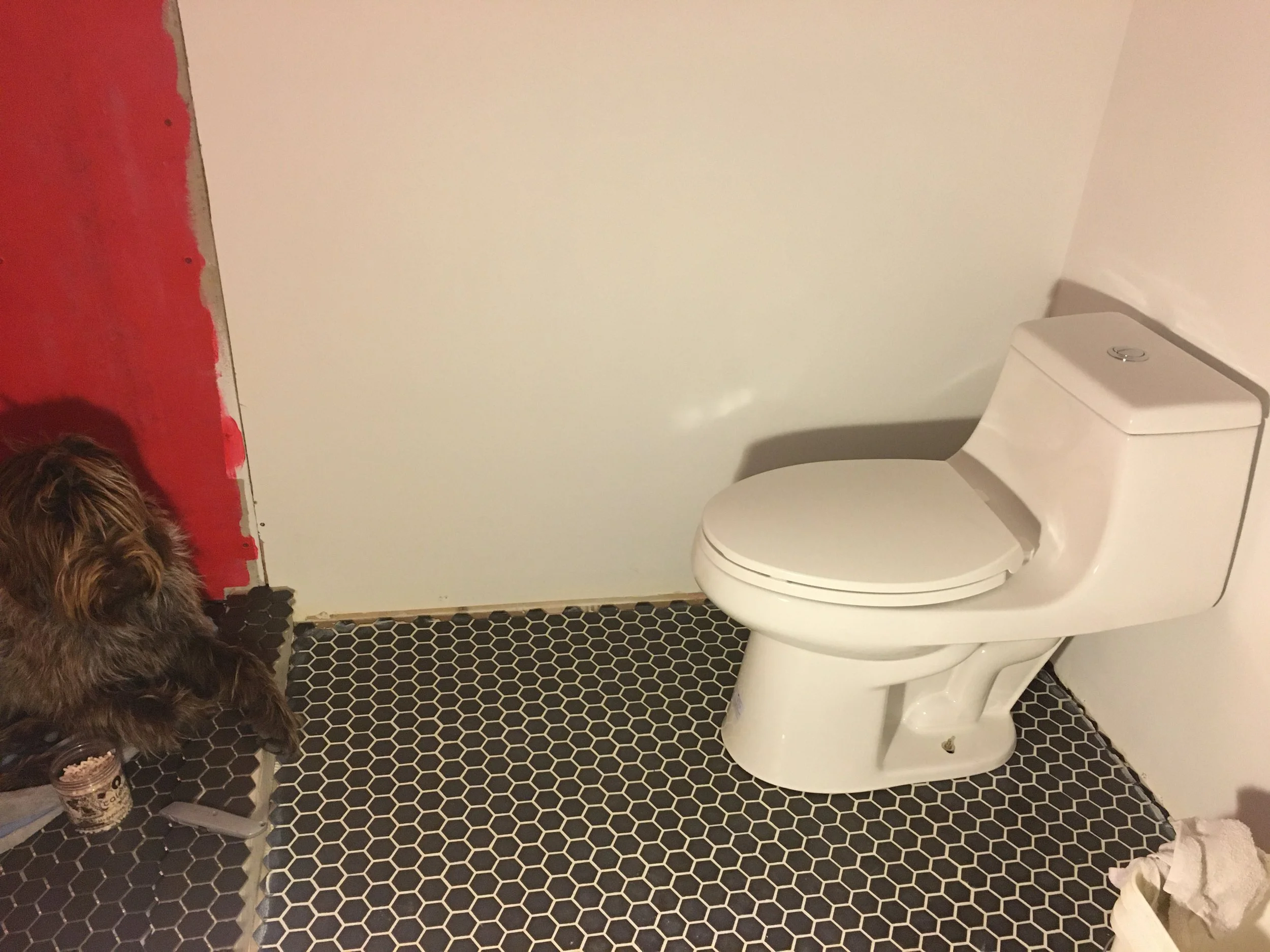 edmund bath - 2c.JPG