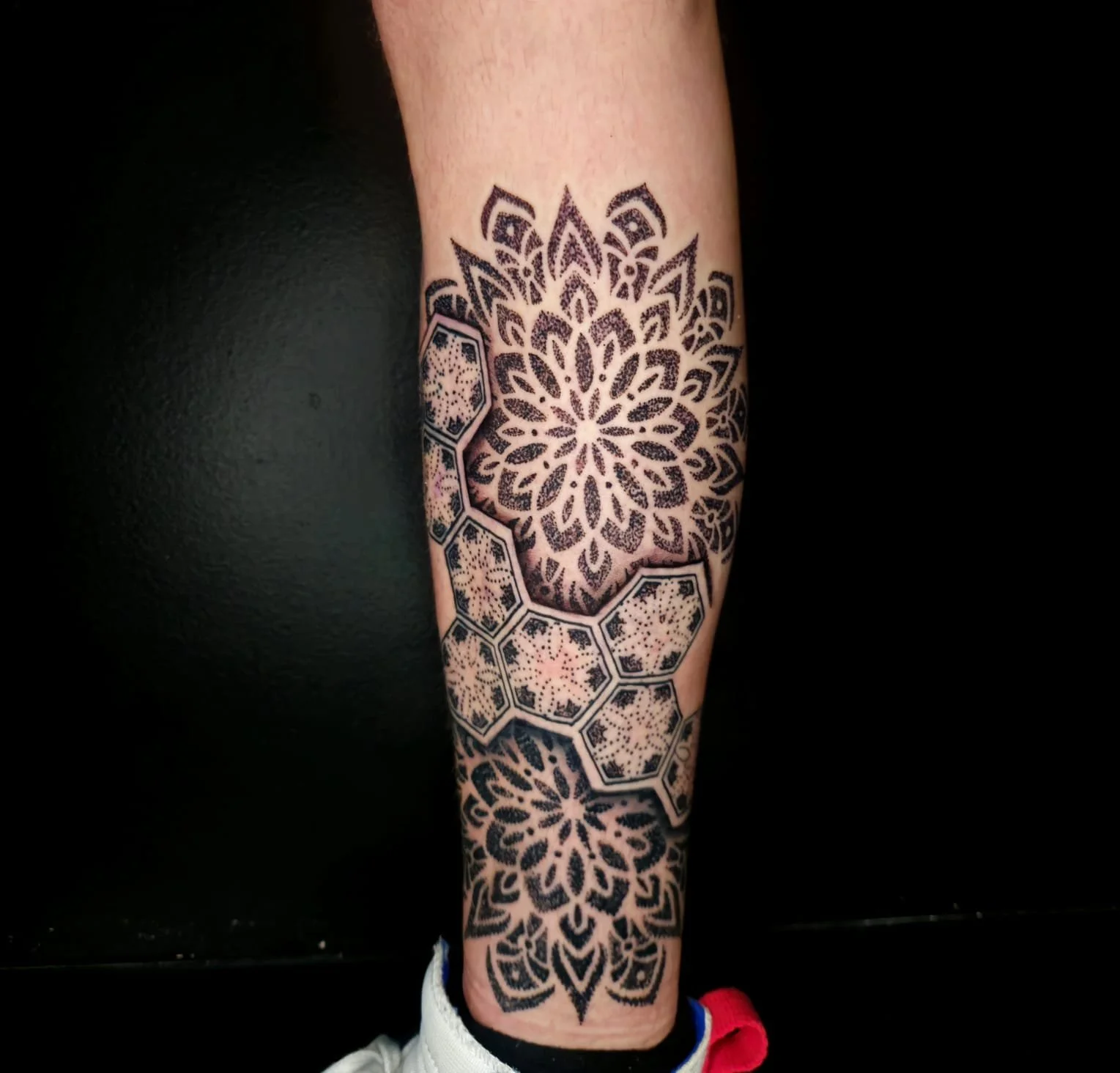 WhatsApp Image 2025-01-29 at 19.19.55_f75c08a4.jpg