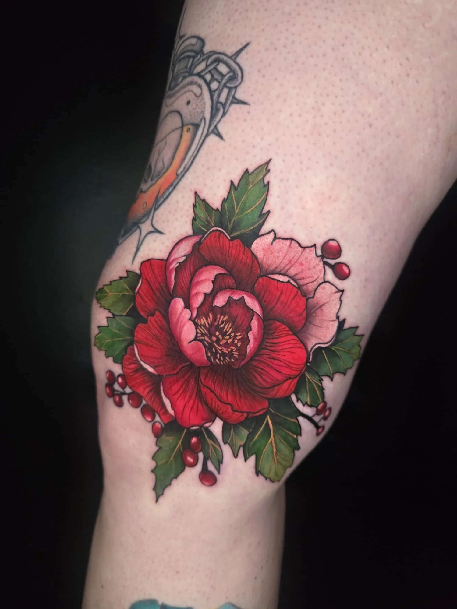 WhatsApp Image 2025-04-12 at 09.03.55_c4a820ab.jpg