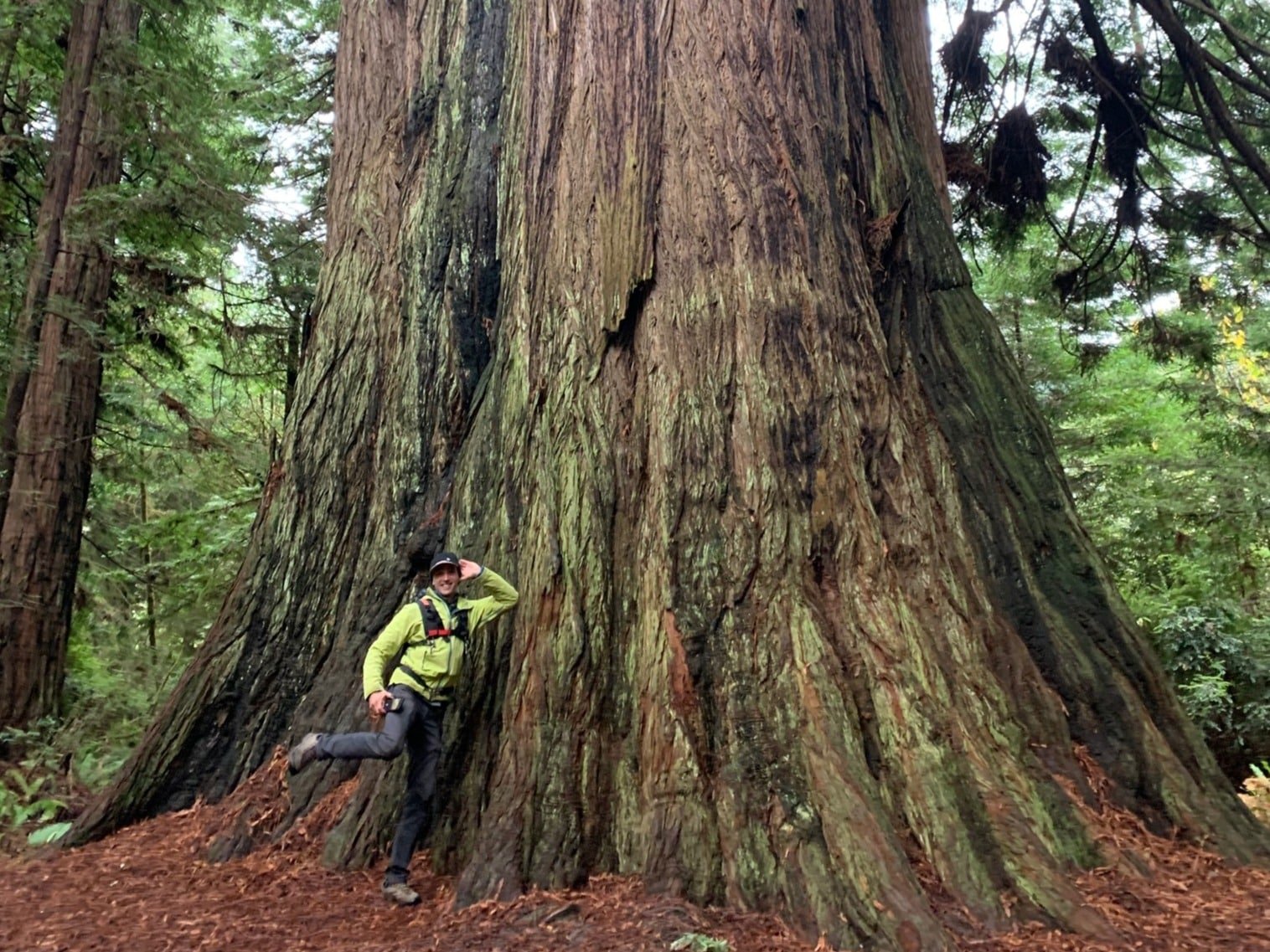28-Sound recordist Greg Miller getting sassy with a giant in Atlas Grove-min.jpeg