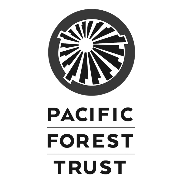 2pacificforest.png