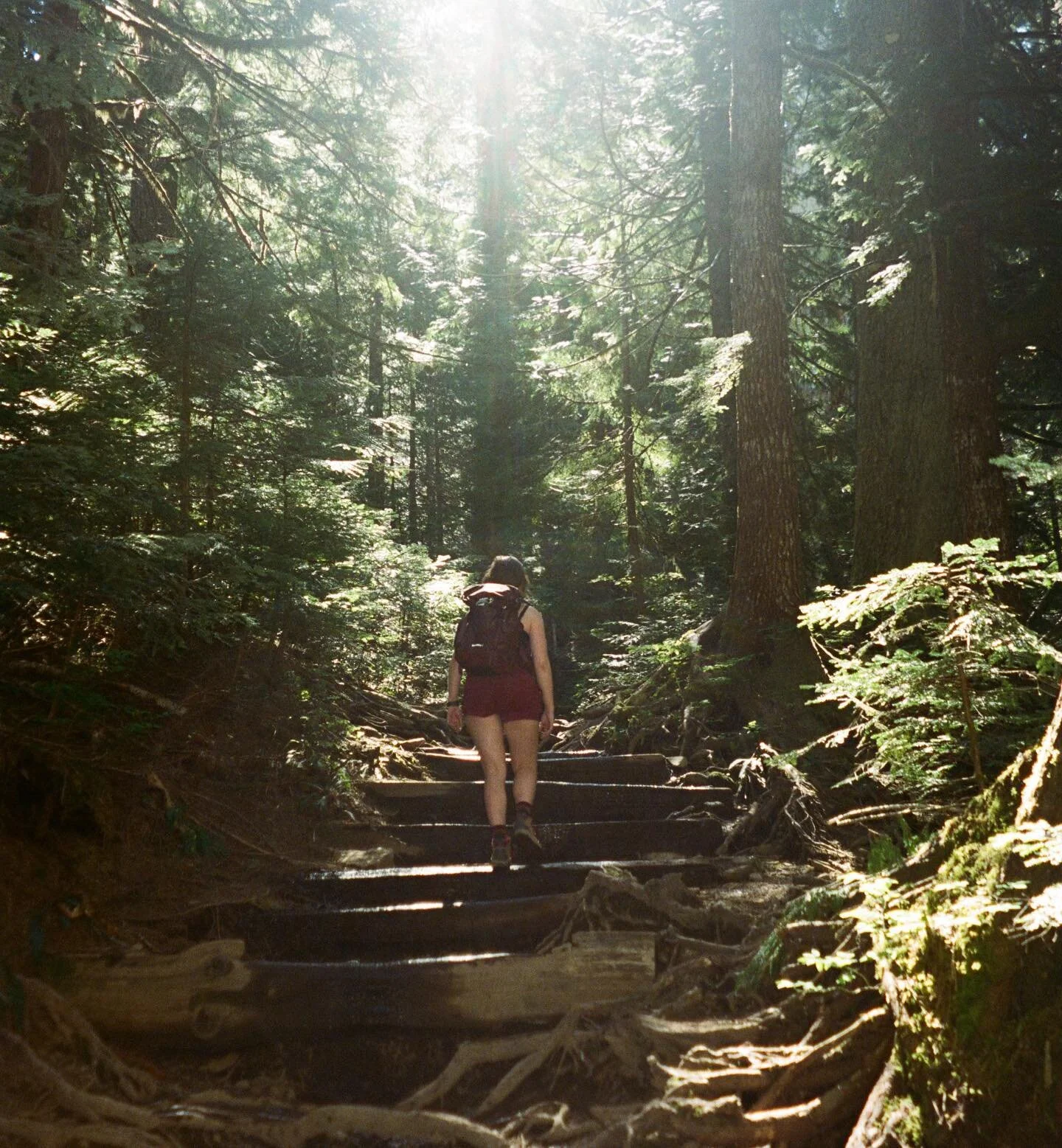 Spring film from Heather Lake 🏔️

#explorewashington #heatherlake #mtbakersnoqualmienationalforest