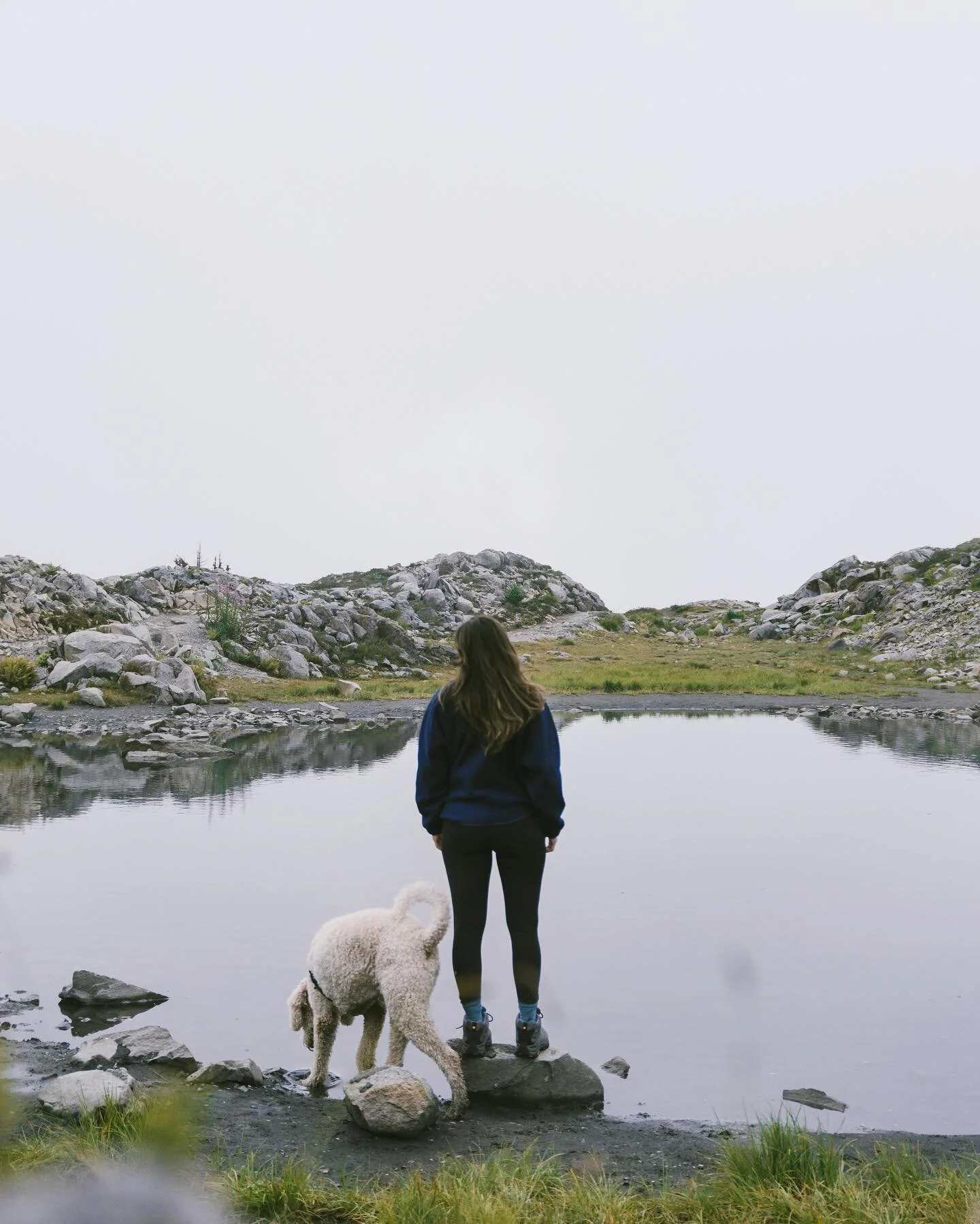 I took Dukers camping in Mt Baker last week and we arrived just in time for the sun to disappear on our sunset hike 🥲☁️ at least we had the trail to ourselves!

#artistpointwashington #mtbakerwilderness #mountbakersnoqualmienationalforest #explorewa