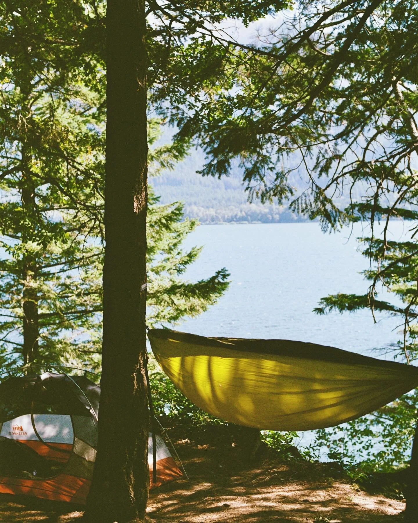 Still gave ⭐️⭐️ because of aesthetics and that&rsquo;s on being a woman 

#columbiarivergorge #pnwcamping #oregonhikes #nikonfe2 #portra400 #filmpgotography