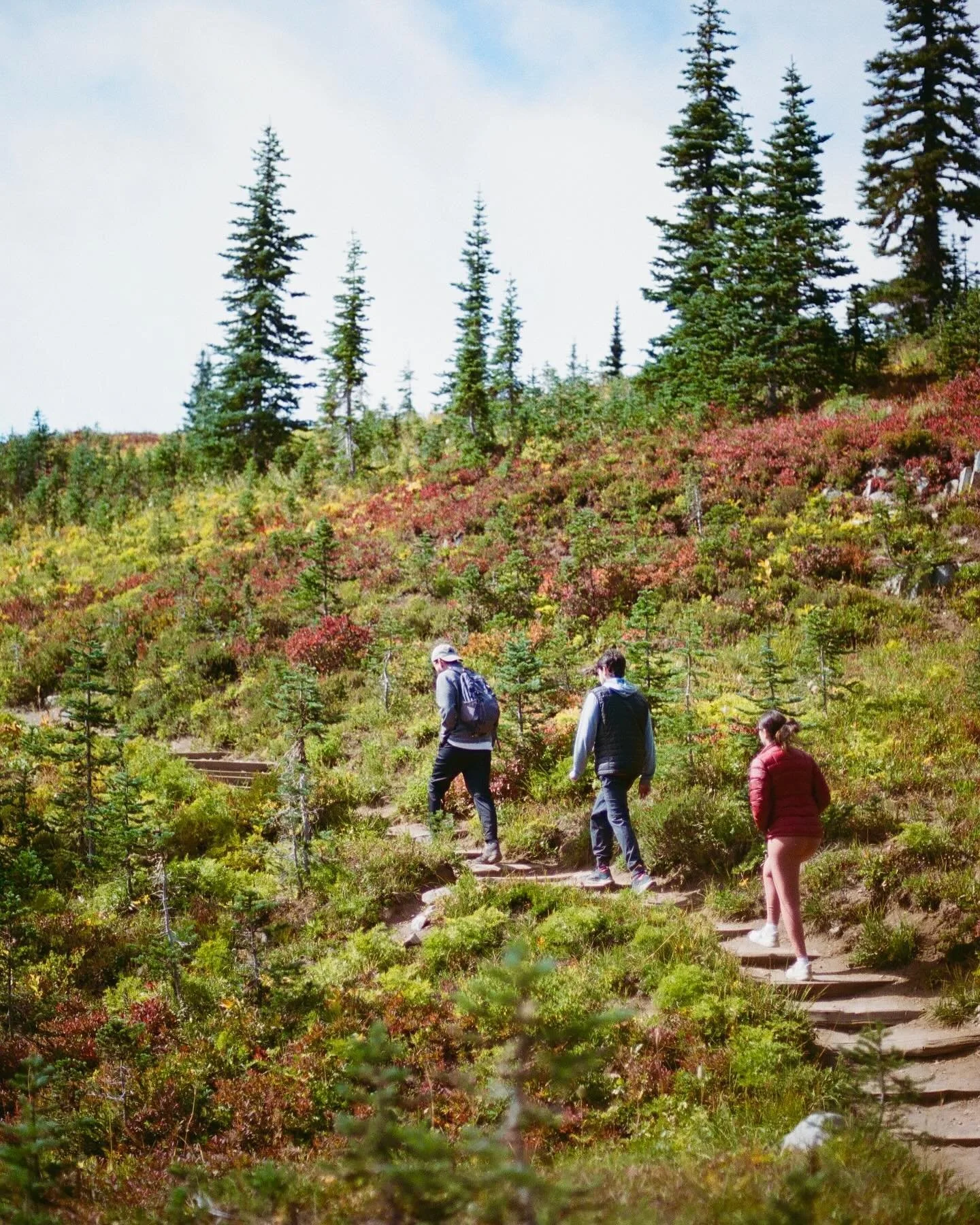 Been primarily shooting film the past year because I had editor&rsquo;s block but now I miss the crispiness of my Sony so I guess I&rsquo;ll never be happy 🎞️

#nikonfe2 #portra400 #mountrainiernationalpark