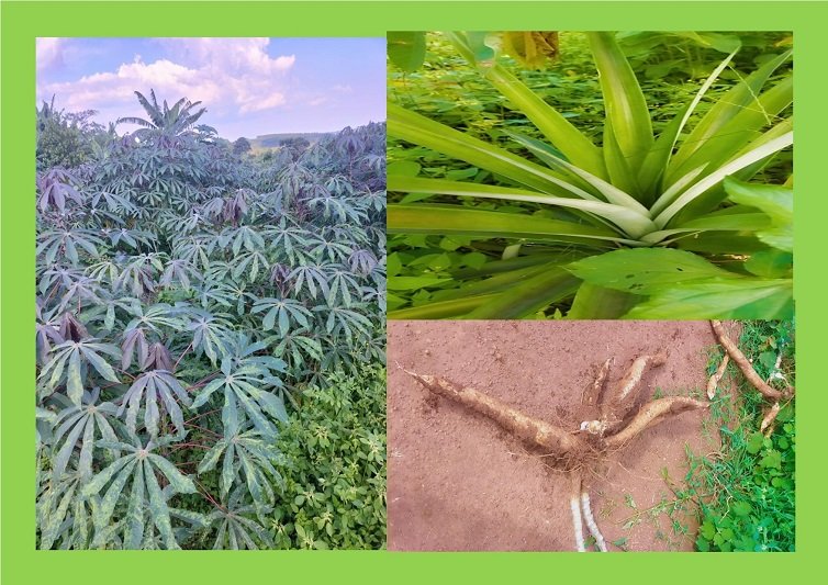 Go Tell it on a Mountain