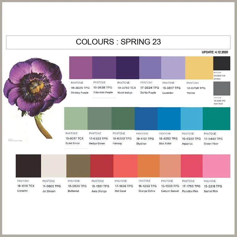 COLOURS TORN-1.jpg