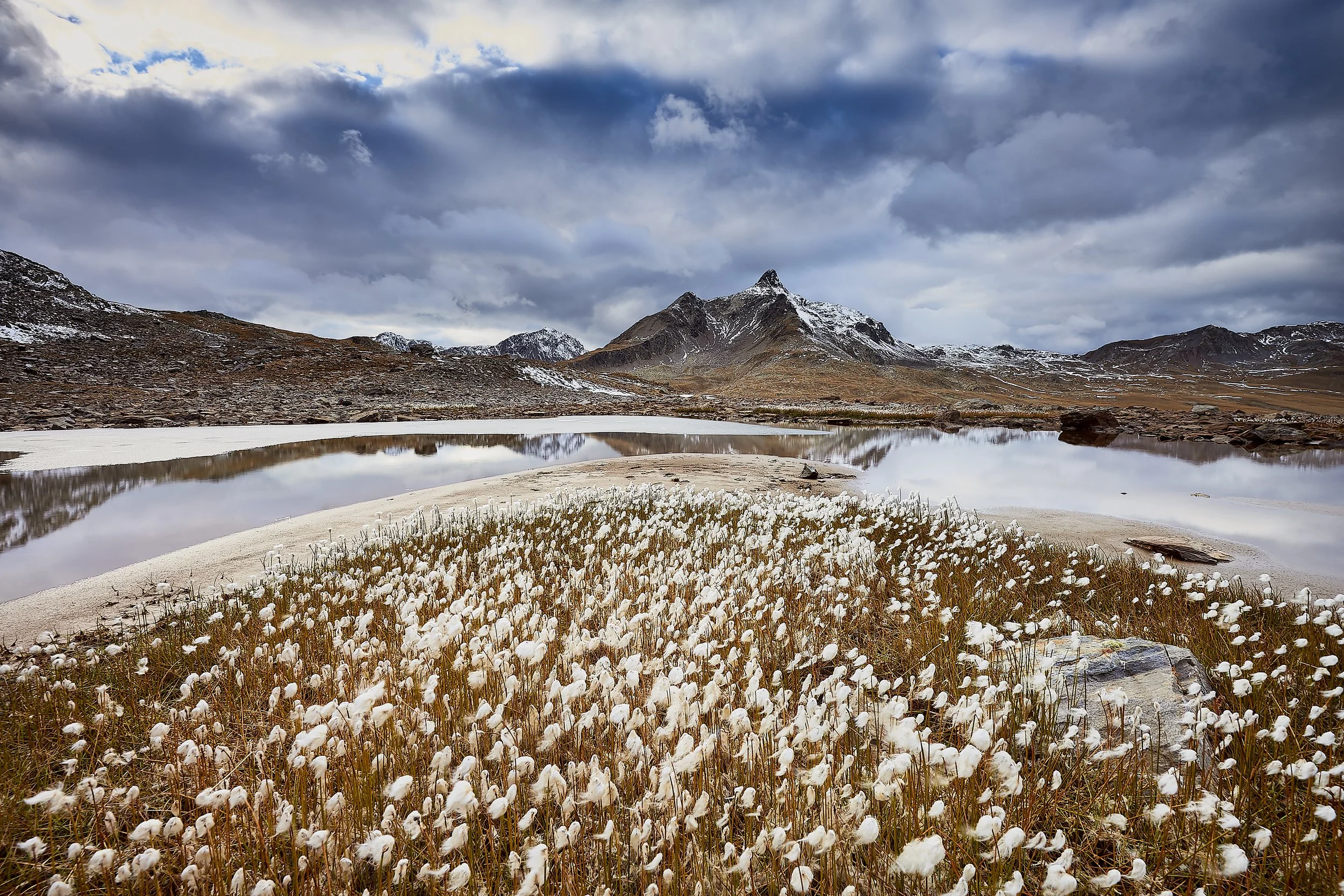 Monte Gaviola - Passi di Gavia (BS)