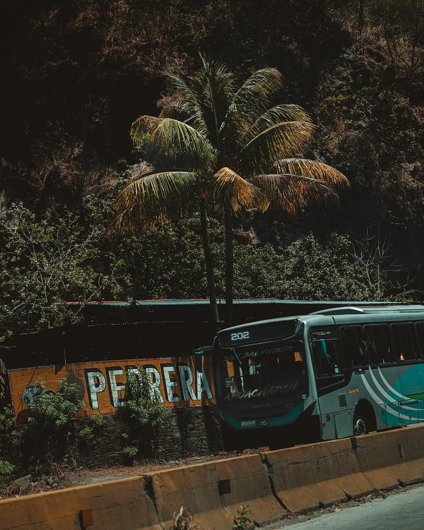 A taste of El Salvador 🌴