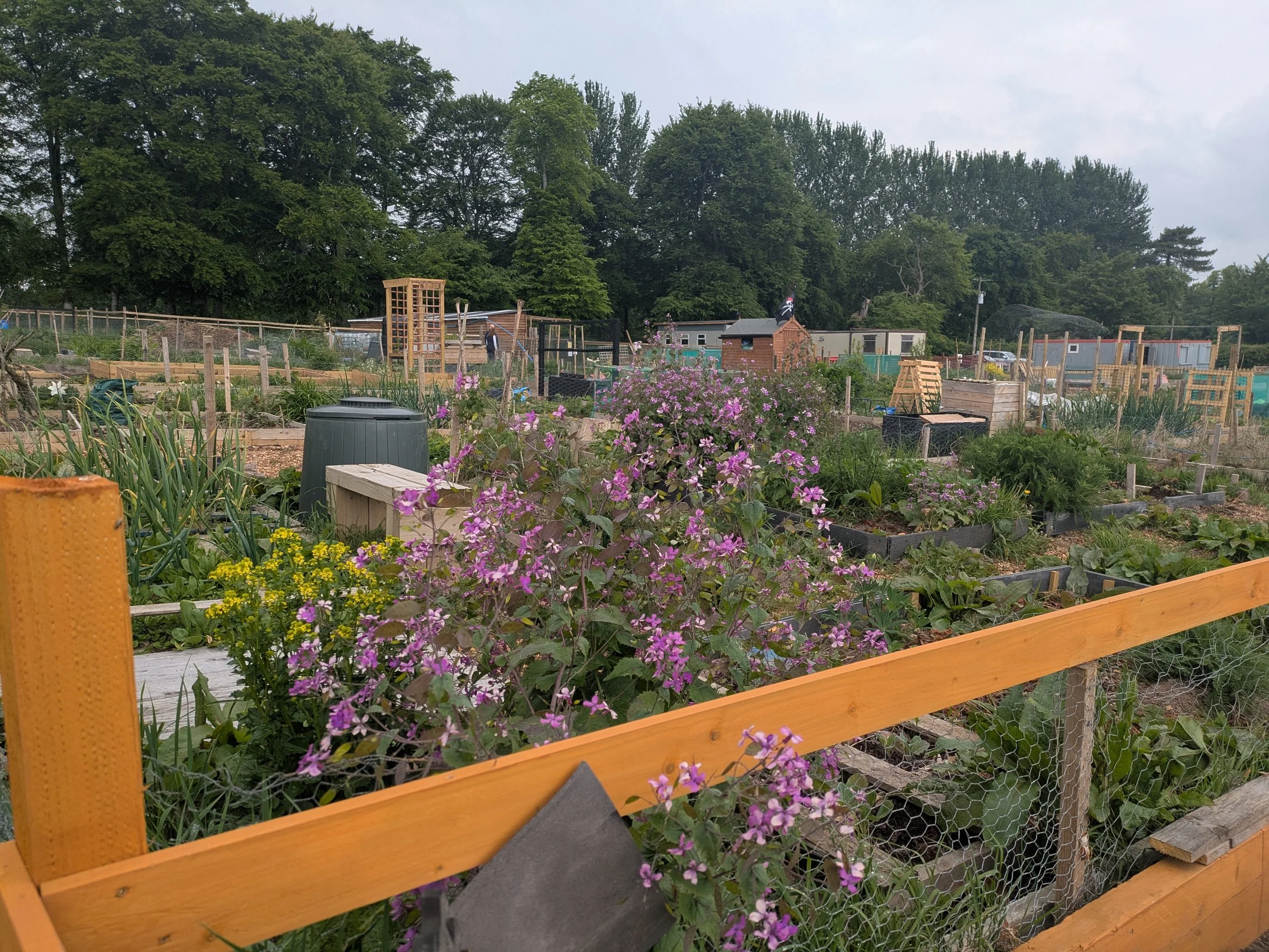 Community Supporting Community