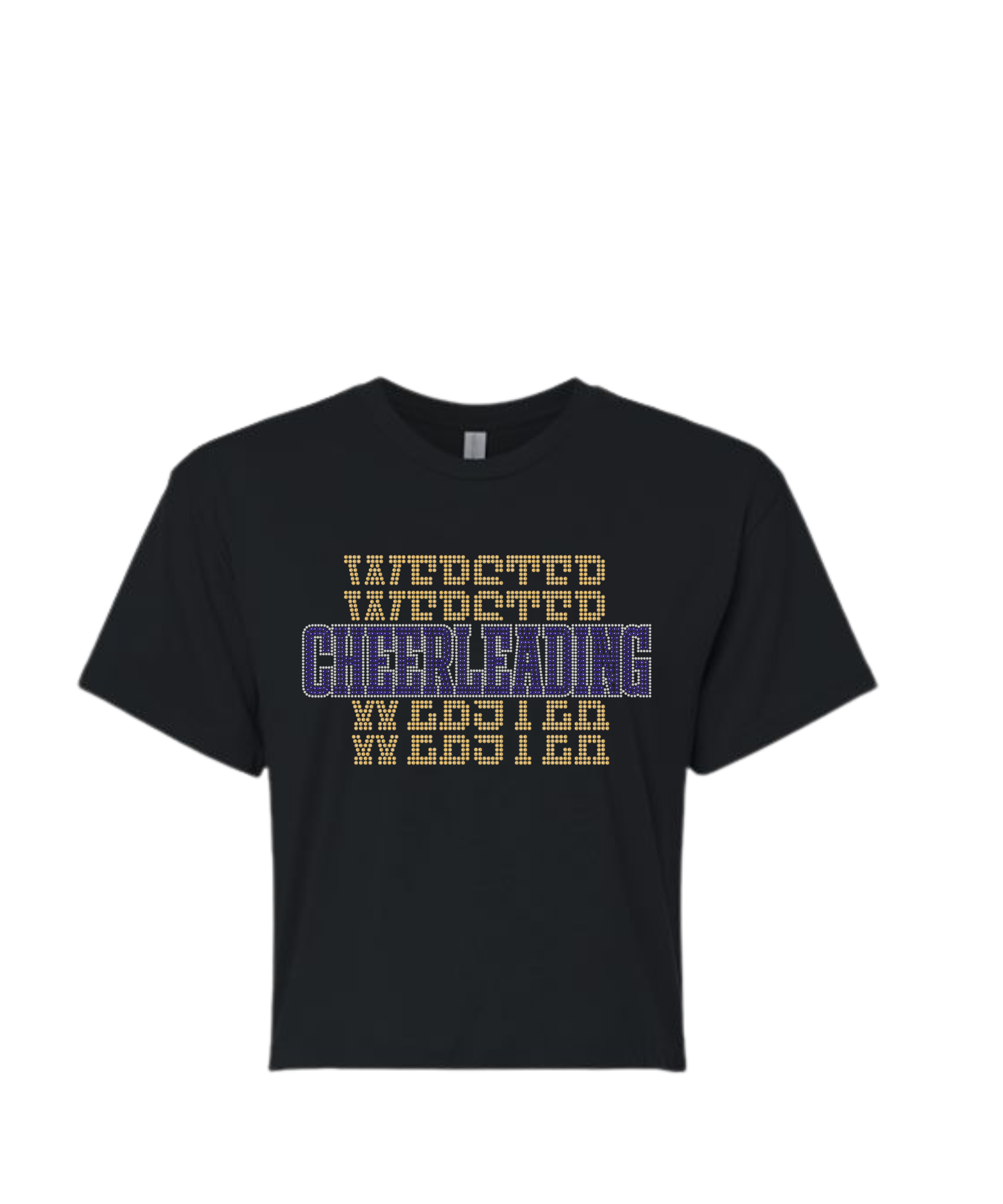 Webster Youth Cheer.png