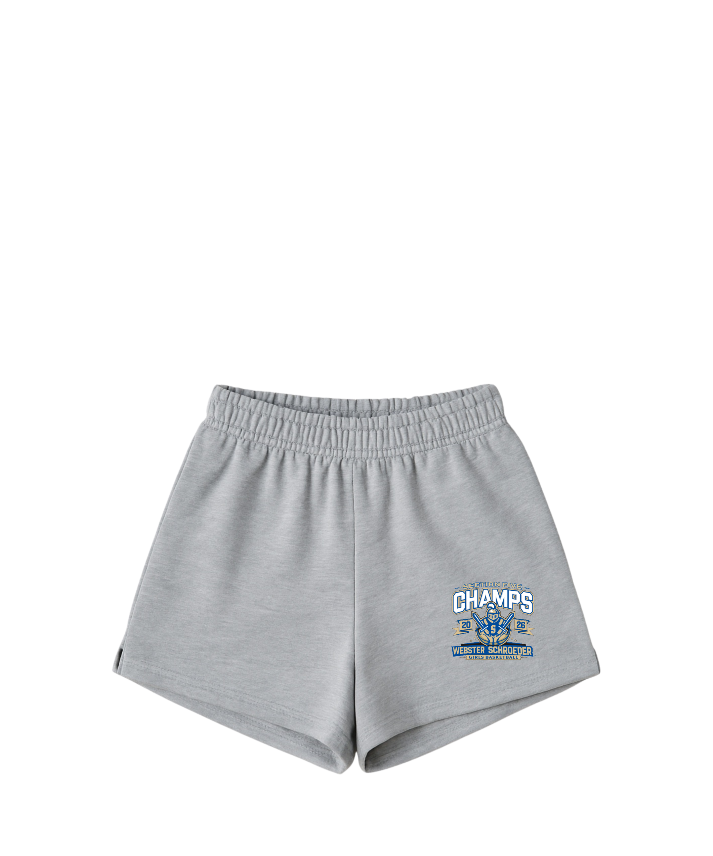 Webster Sch Girls BBall.png