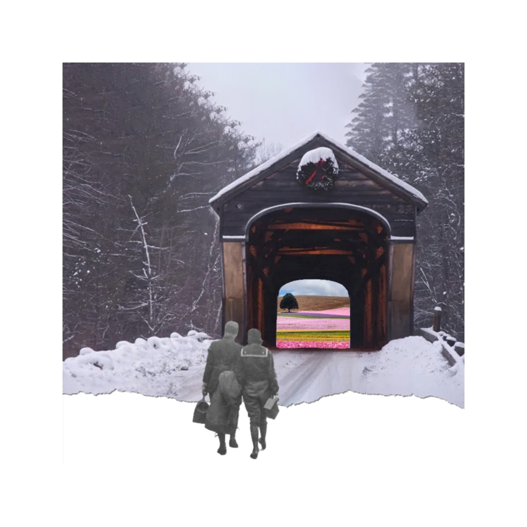image_original_.png