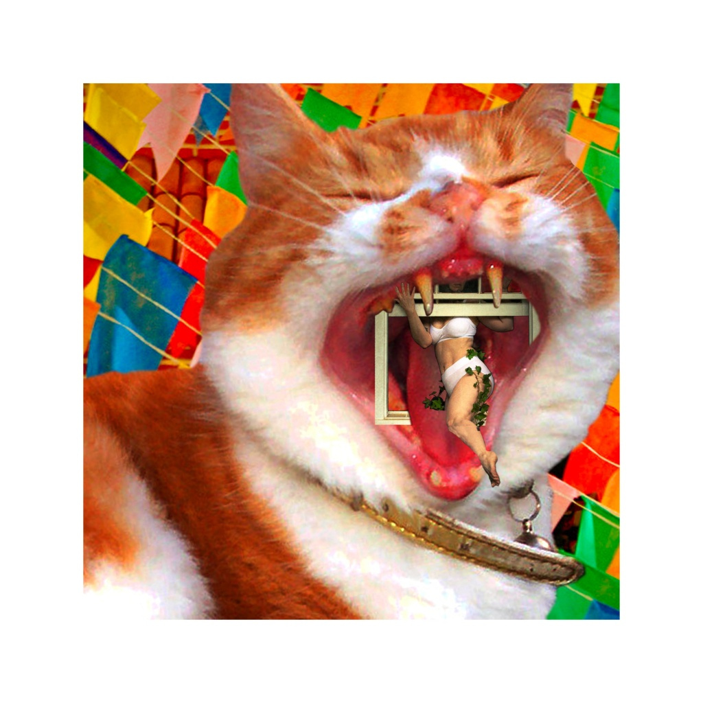 image_original_.png