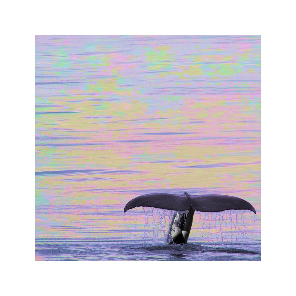 image_original_.png