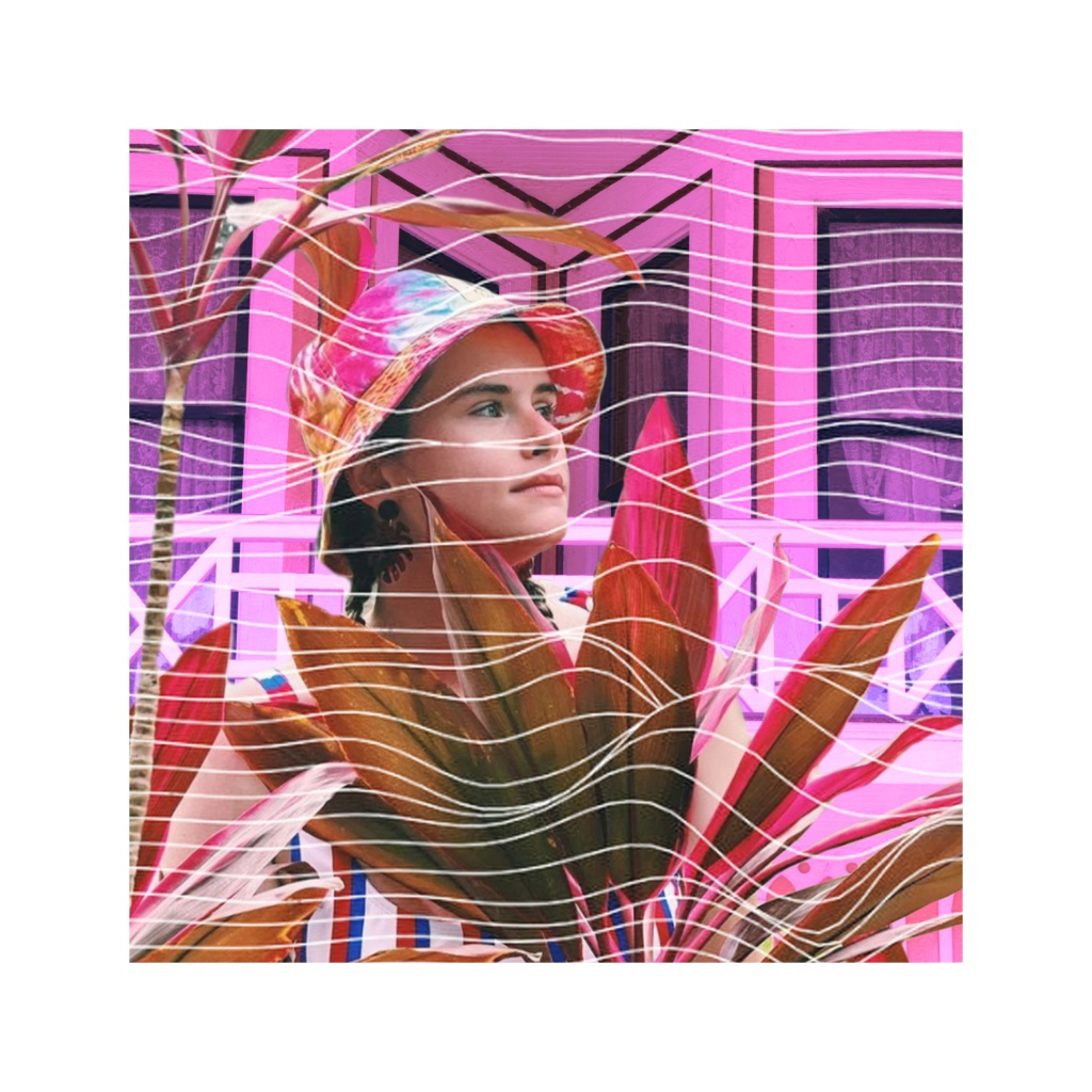 image_original_.png