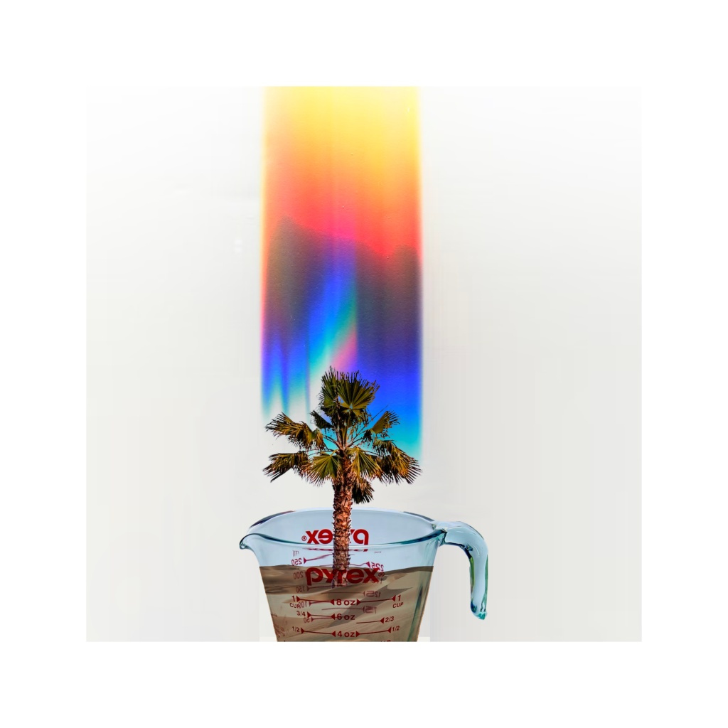 image_original_.png