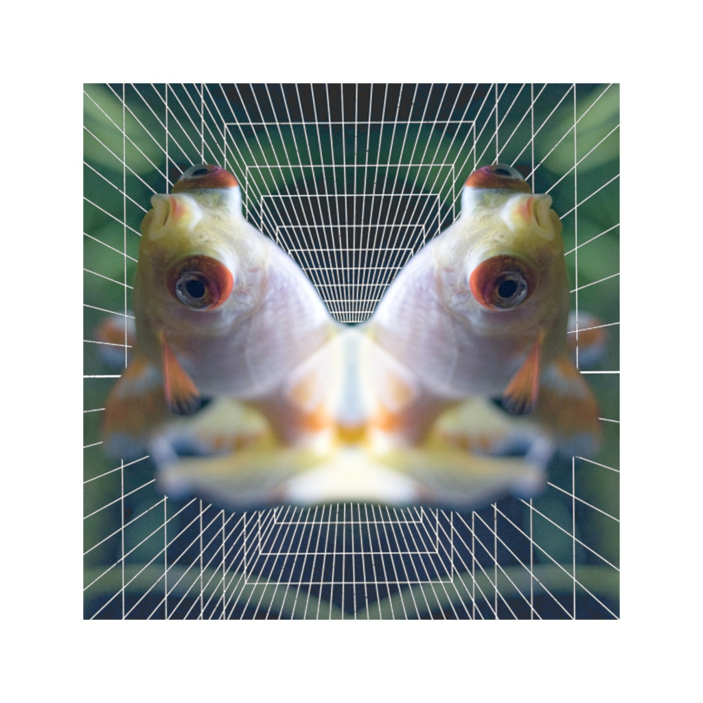 image_original_.png