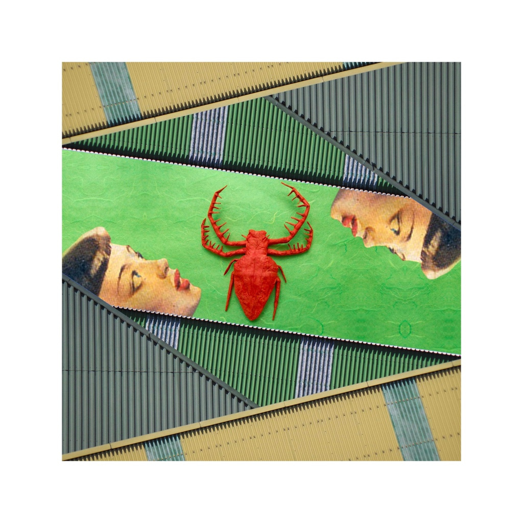 image_original_.png