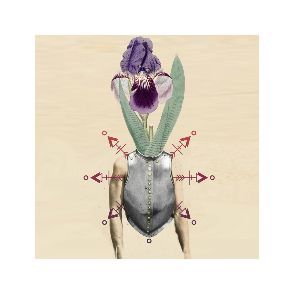 image_original_.png
