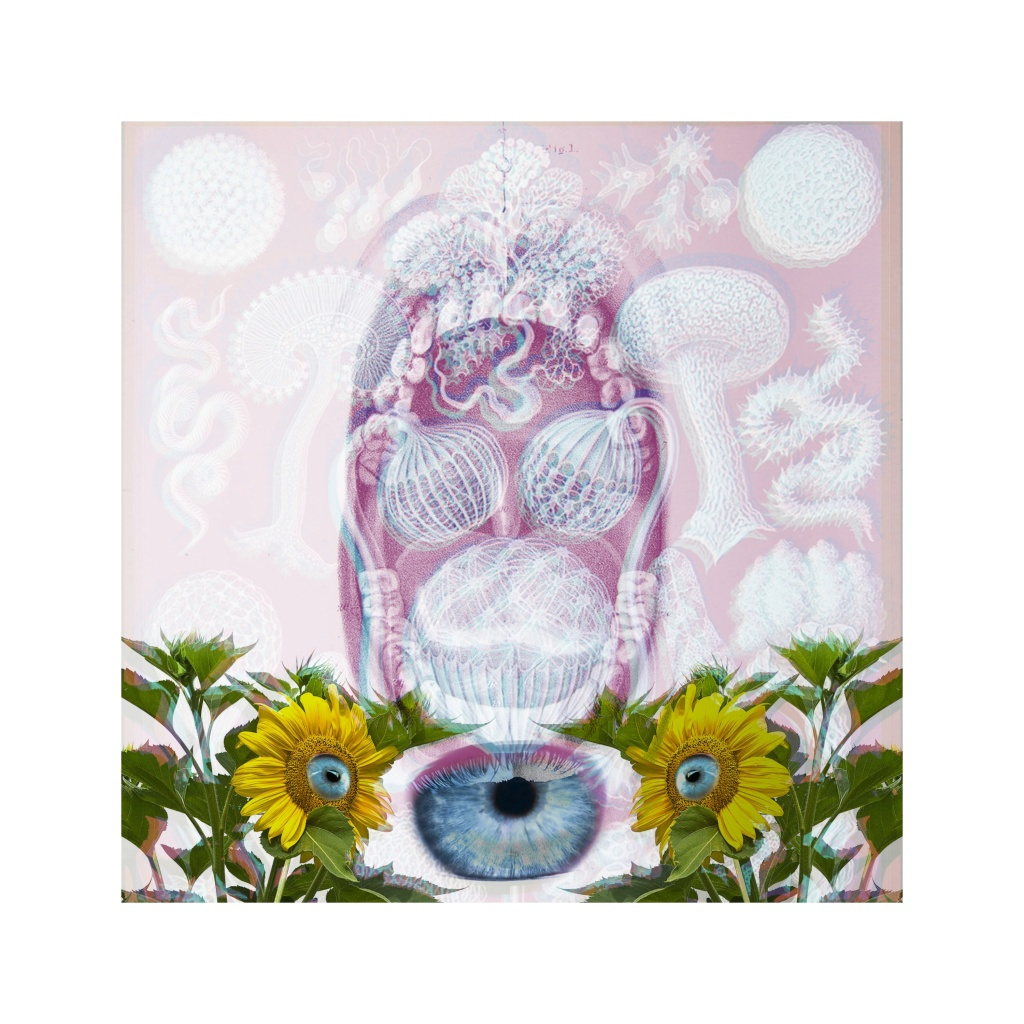 image_original_.png