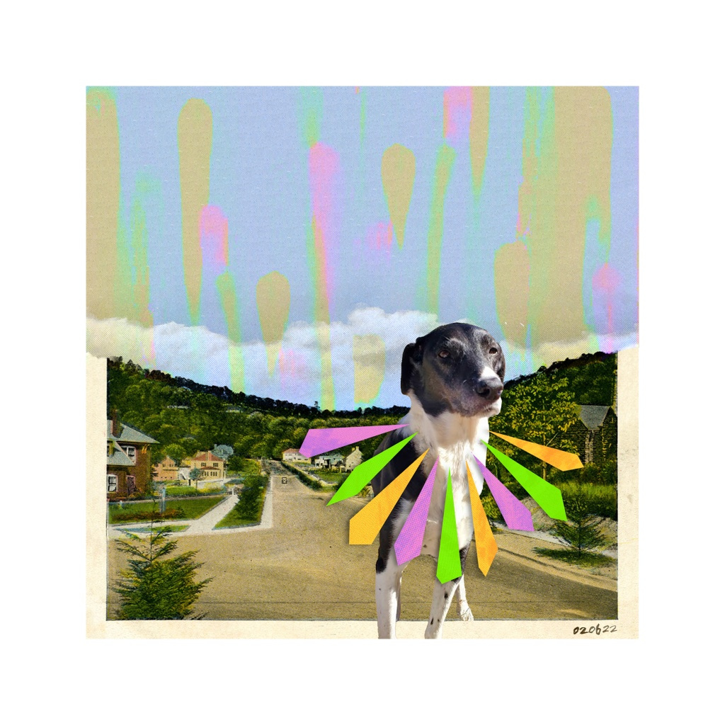 image_original_.png