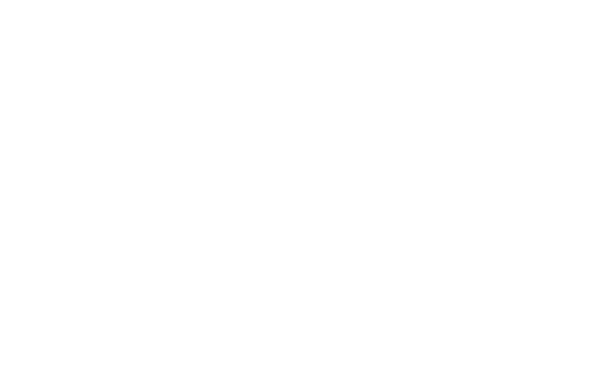 Star Spangled Fest