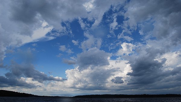 a6f9cac9-0b8f-4a82-b88d-0a8538b08bca_rw_600.jpg