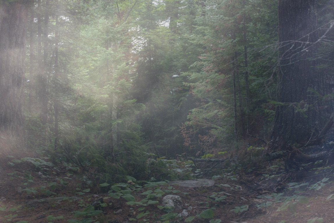 168d4392-956d-45db-9968-2d034ddcde6c_rw_1200.jpg