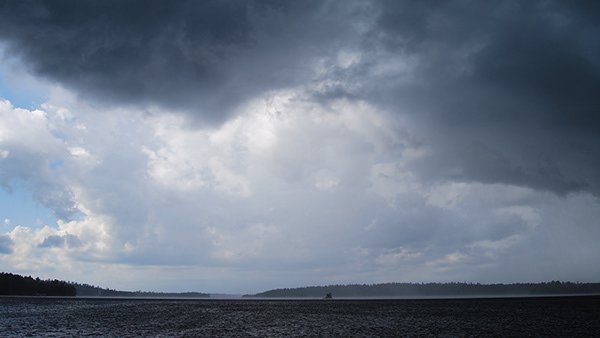 fd8f74e4-f810-4d24-b553-747bb5d63f86_rw_600.jpg