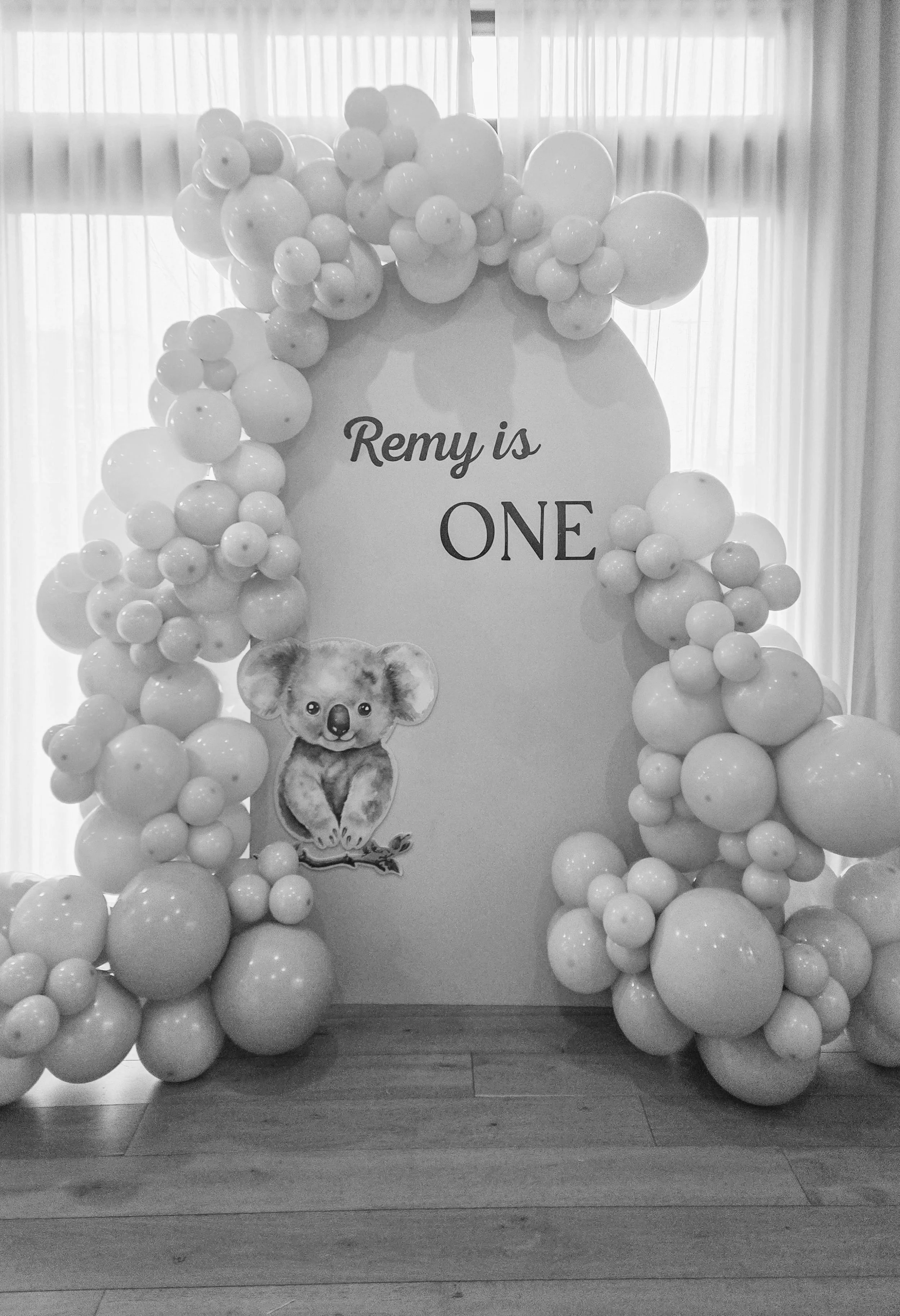 Remy's First Birthday