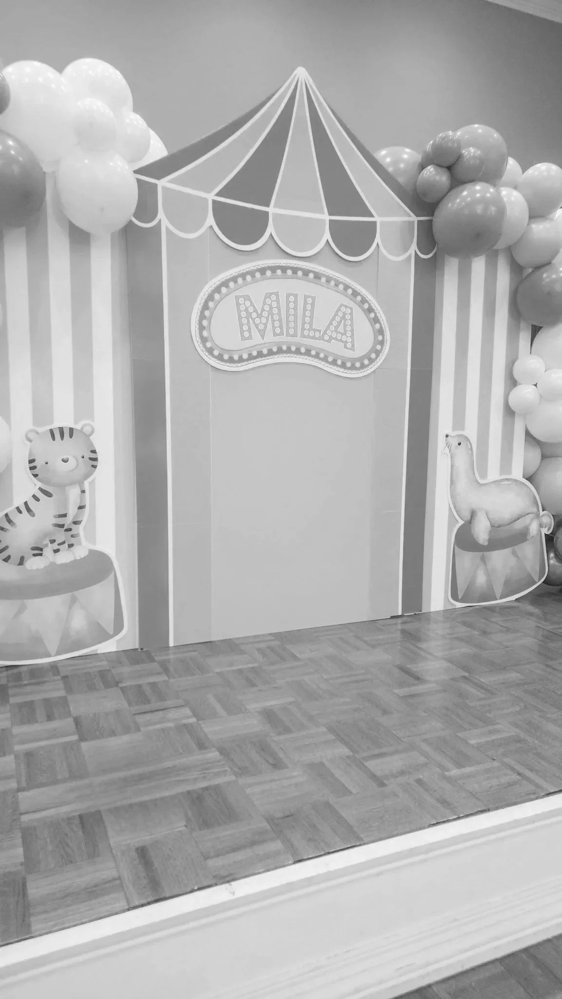 Mila's First Birthday