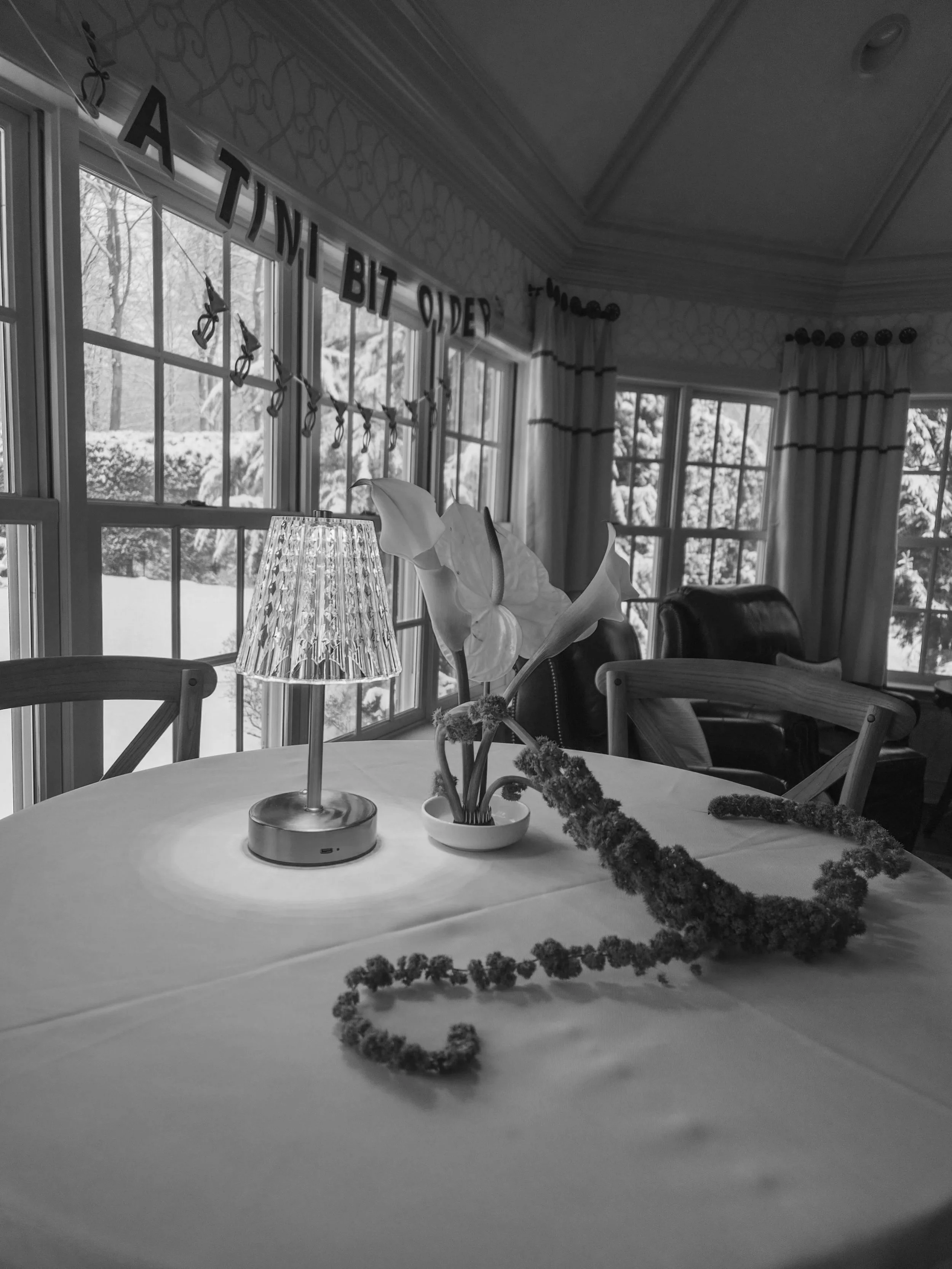 Marianne's 60th Birthday Party