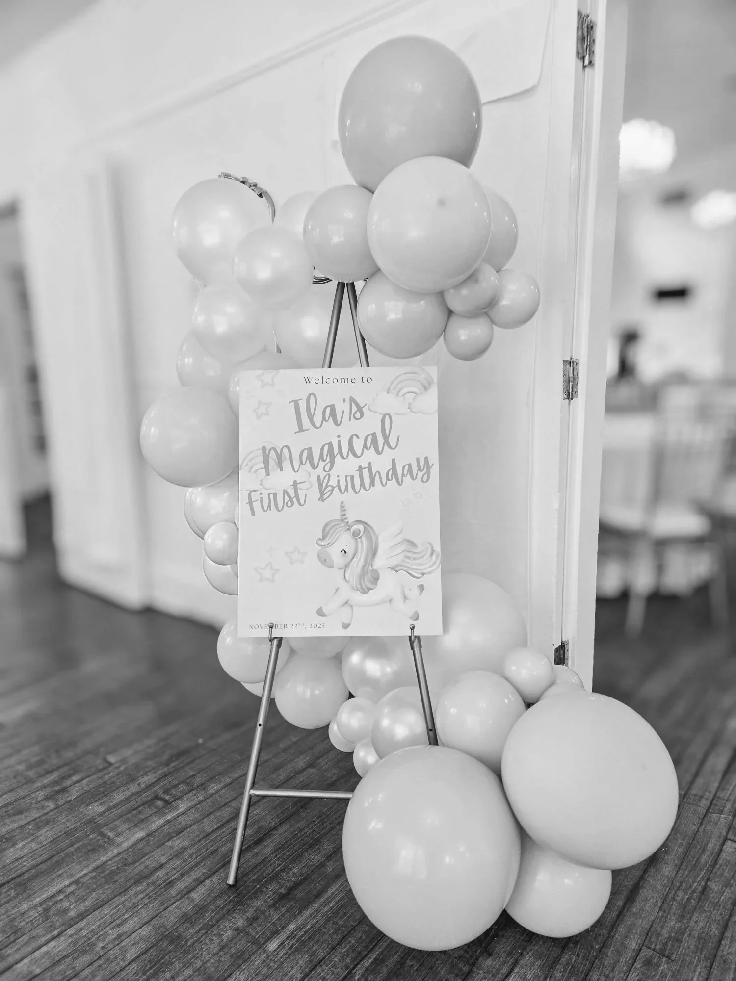 Ila's Magical 1st Birthday