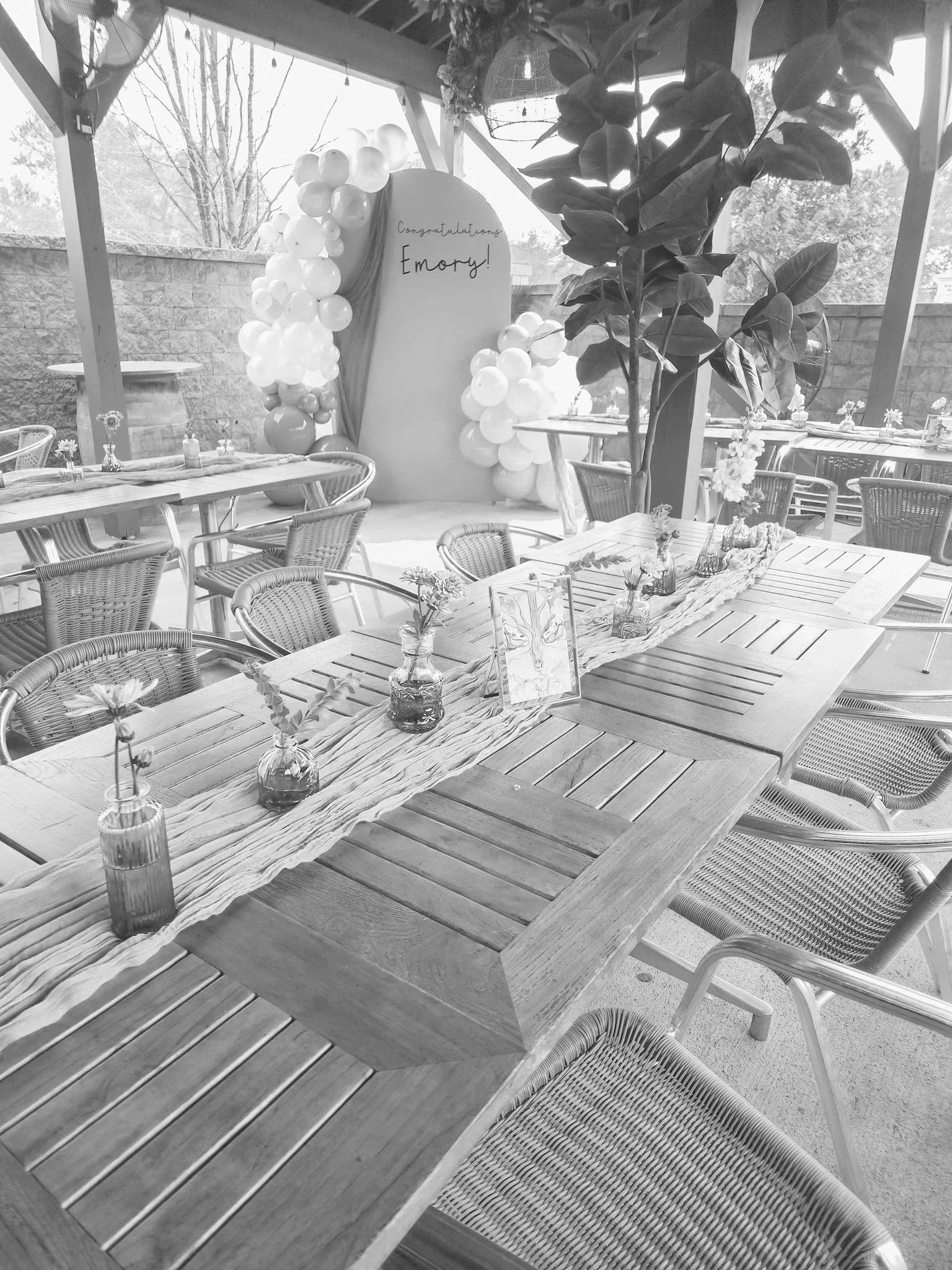 Emma's First Birthday