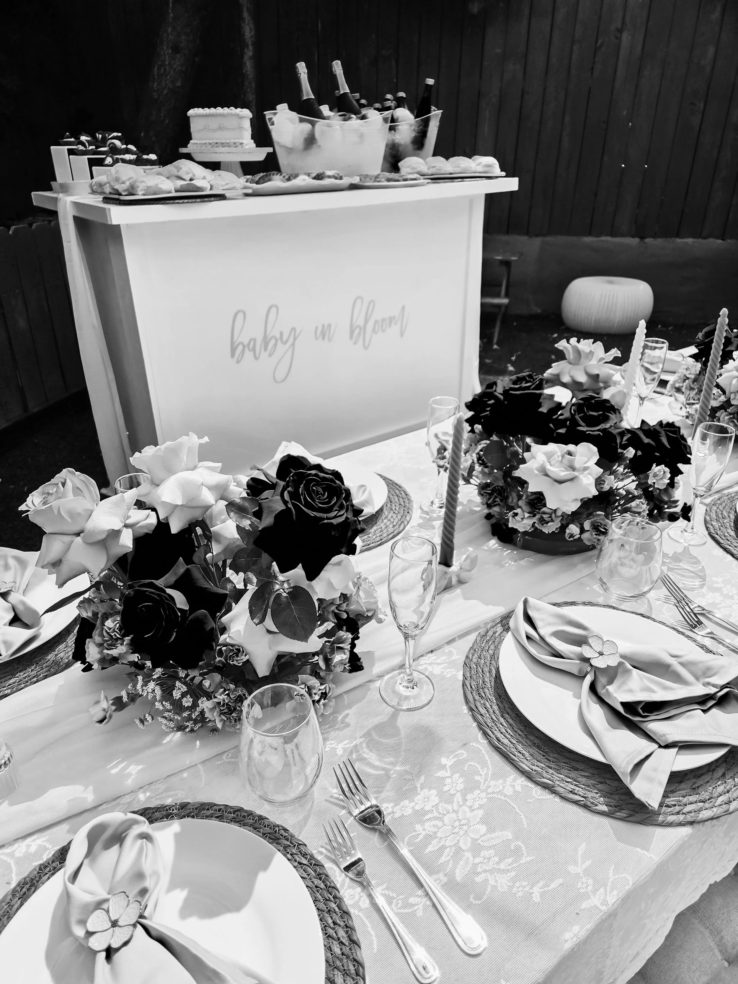 Kamille's Luxury Picnic Baby Shower