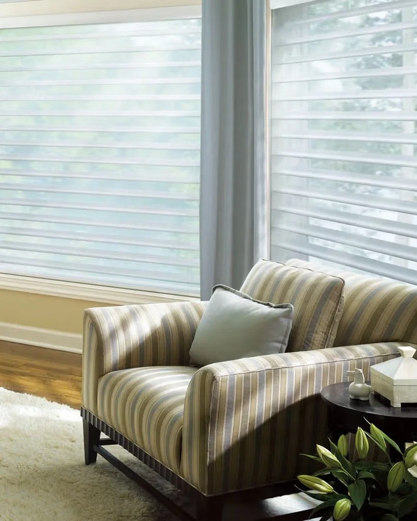 There&rsquo;s light &mdash; and then there&rsquo;s the light. ✨ Silhouette&reg; Window Shadings float soft fabric vanes between two sheers, turning harsh sun into a gentle, glare-free glow while protecting your view. Pure magic in a living room.

Vis